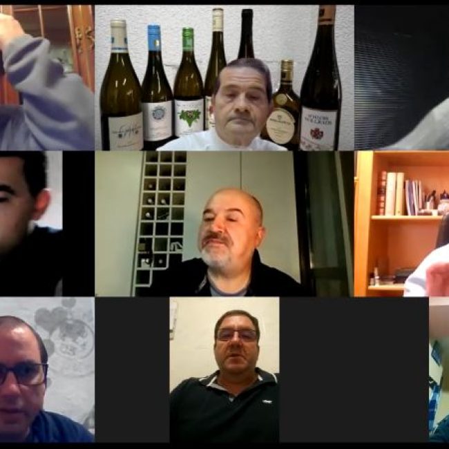 Cata virtual de vinos alemanes