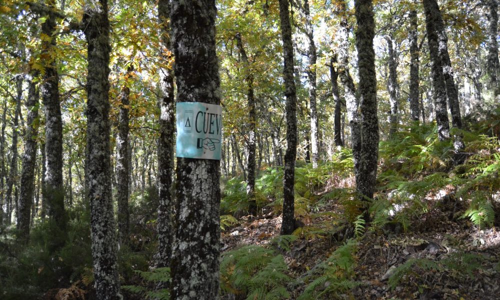 Ruta en Villardeciervos