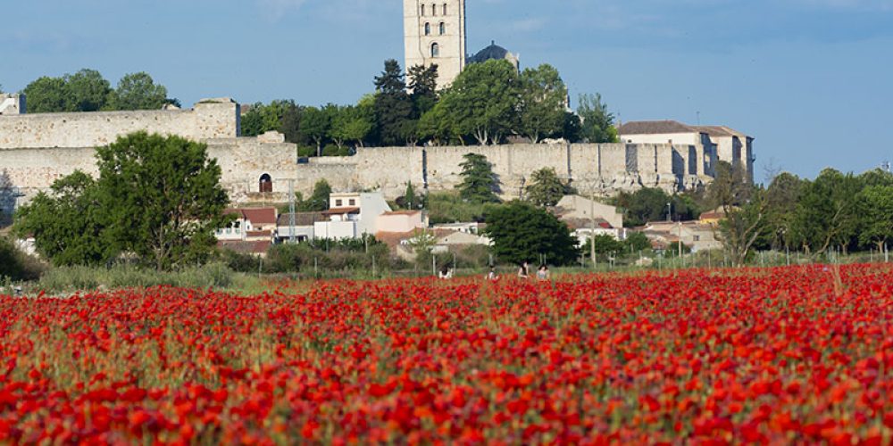 Zamora, visitas guiadas bajo las medidas de seguridad