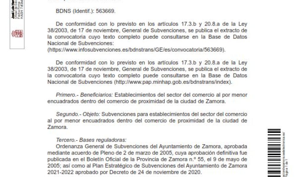 Plan relanza, ayudas a la hostelería y pequeño comercio de Zamora